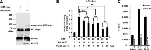 Figure 5. PIAS3 inhibits the transcriptional activity of MITF through blocking the DNA binding, independent of sumoylation. (A) HEK 293T cells were transfected expression vectors encoding MITF-myc and PIAS3-GFP. Whole-cell extracts were immunoprecipitated with anti-myc antibody and immunoblotted using anti-myc antibody (top). Whole-cell extracts were immunoblotted by anti-myc and anti-green fluorescent protein (GFP) antibody (middle and bottom). (B) HEK 293T cells were cotransfected with 0.8 kb c-Fos promoter luciferase reporter, MITF, with the indicated amounts of PIAS3 (WT or C334S). Each well was also cotransfected with Renilla luciferase reporter to normalize the transfection efficiency (#P < .05; ##P < .01). (C) Chromatin immunoprecipitation for mock- or PIAS3-transduced RAW264.7 cells. Immunoprecipitated chromatin was analyzed by real-time PCR for the presence of c-Fos, cathepsin K, and TRAP promoter that were normalized to the respective input levels. Error bars in all panels represent SD. #P < .01.