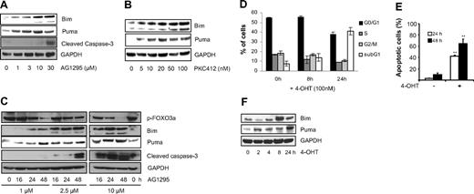 Figure 3. Inhibition of FLT3-ITD signaling by AG1295 or PKC412 leads to dephosphorylation of FOXO3a and up-regulation of proapopotic Bim and Puma. FDC-P1/FLT3-ITD cells were treated for 24 hours with increasing concentrations of AG1295 (A) or PKC412 (B), then whole-cell lysates were prepared and analyzed for expression of Bim, Puma, and caspase-3. (C) FDC-P1/FLT3-ITD cells were treated with AG1295, and the amount of p-FOXO3a and expression of Bim, Puma, and caspase-3 was analyzed by Western blot analysis (n = 3). Anti-GAPDH antibody was used as a loading control. (D-F) FDC-P1/FLT3-ITD cells infected with pBabe:FOXO3(A3):ER were stimulated with 100 nM 4-OHT. After 8 and 24 hours, cells were analyzed for DNA content by PI staining and flow cytometry. Results are mean (± SD) from 2 experiments (D). Cells were also analyzed for apoptosis by flow cytometry after staining with annexin V–FITC/PI. Results are mean (± SD) from duplicates and repeated twice. **P < .01 (SD over control; E). Cell lysates were prepared at times indicated, and Western blot analysis was performed using Bim, Puma, or GAPDH antibodies (n = 2; F).