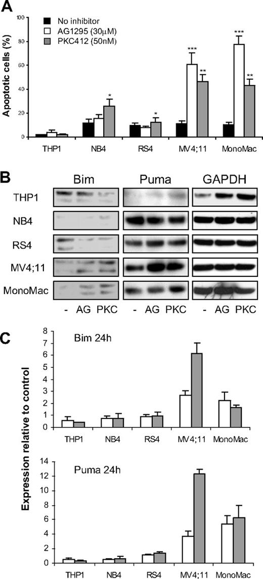 Figure 4. Treatment with AG1295 or PKC412 of human leukemic cell lines expressing mutated FLT3 leads to up-regulation of Bim and Puma and apoptosis induction. Leukemic cell lines expressing no FLT3 (THP1), wild-type FLT3 (NB4, RS4), or mutated FLT3 (MV4;11, MonoMac-6) were seeded at a density of 105-106 cells/mL in the absence or presence of AG1295 or PKC412. (A) Seventy-two hours later, cells were analyzed for apoptosis by flow cytometry after staining with annexin V–FITC/PI. Data shown are mean (± SD) from 3 experiments. *P < .05 (SD over control without inhibitor); **P < .01 (SD); ***P < .001 (SD). (B) Expression of Bim and Puma protein was analyzed by Western blot analysis after 48 hours of treatment. (C) Real-time PCR using Bim and Puma primers from cells after 24 hours of treatment with 30 μM AG1295 (□) or 50 nM PKC412 (). The results are mean (± SD) from 2 experiments performed in triplicates and presented as relative expression compared with the control housekeeping gene GusB.