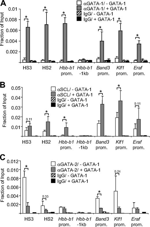 Figure 1. GATA-1 recruits SCL to active erythroid genes. ChIP analysis using GATA-1 (A), SCL (B), and GATA-2 (C) antibodies or isotype-matched control antibodies (IgG) and primers for indicated sites. Primers for 1 kb upstream of the Hbb-b1 promoter (−1 kb) served as negative control. ChIP experiments were performed in G1E cells (−GATA-1) and G1E-ER4 cells after E2 treatment for 21 to 24 hours (+GATA-1). The data are the averages of 3 or more independent experiments. Error bars represent SDs. *Statistical significance (P ≤ .05) based on a 2-tailed t test. Numbers indicate P values.