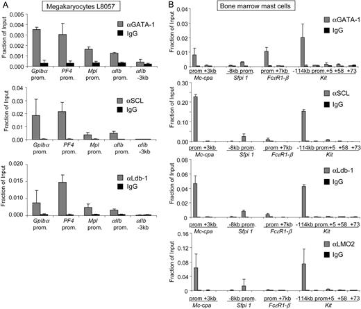 Figure 2. GATA-1, SCL, and Ldb-1 co-occupy active genes in megakaryocytes and mast cells. ChIP analysis using GATA-1, SCL, Ldb-1, or isotype-matched control antibodies in megakaryocytic L8057 cells (A) and primary bone marrow–derived mast cells (B). The −3-kb region upstream of αIIb served as negative control. The data shown are the averages of 3 or more independent experiments in panel A and 2 independent experiments in panel B. Error bars represent SDs.