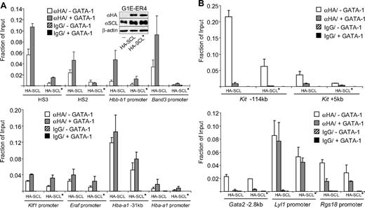 Figure 5. SCL recruitment in the absence of DNA binding. Anti-HA or control IgG ChIP of GATA-1–activated (A) and GATA-1–repressed (B) genes in G1E-ER4 cells expressing HA-tagged SCL (HA-SCL) or HA-SCL-RER (HA-SCL*), before and after estradiol (E2) treatment for 21 to 24 hours. The data shown are the averages of 2 (Klf1, Gata2 −2.8), 3 (HS3, Hba-a1, −31, Hba-a1 promoter, Lyl1 and Rgs18 promoters), and 4 (HS2, Hbb-b1, Hbb-b1 promoter, Band3, Band3 promoter, Kit −114, Kit +5) independent experiments. Error bars represent SDs. Note that the decrease in HA-SCL occupancy at the Lyl1 gene is less pronounced than that observed with endogenous SCL (Figure 3C). This is likely the result of leakiness with regard to GATA-1-ER activity in this experiment.