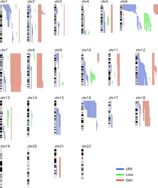 Figure 1. Global view of LOH, including aUPDs, losses, and gains in 182 FL samples across the 22 autosomes with the use of GOLF. Aberrations (gain in red, loss in green, and aUPD in blue) for individual samples are shown to the right of the chromosome.