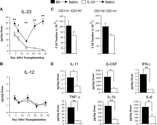 Figure 4. Absence of donor APC-derived IL-23 significantly attenuates proinflammatory cytokine production in the colon. (A,B) Lethally irradiated (900 cGy) Balb/c mice were transplanted with B6 BM (10 × 106) and spleen cells (0.4-0.6 × 106) (■) or IL-23−/− BM (10 × 106) and spleen cells (□) adjusted to yield an equivalent number of mature T cells. Cohorts of mice (7-9/group) were killed at the indicated time points (days 4, 7, 14, 21, and 28), and segments of colon tissue from individual mice were cultured overnight in media. Colonic tissue supernatants were collected and analyzed for the amount of IL-23p19 (A) and IL-12p70 (B) by ELISA and multiplex, respectively. Data are presented as mean amount of cytokine divided by the weight of cultured colon tissue (± SEM) and are cumulative results from 2 experiments. (C) Groups of mice were transplanted as in panels A and B and killed 28 days posttransplantation. Colons (n = 4-5/group per experiment) were pooled and digested with collagenase D. Total number of isolated LPMCs that were CD11c+ CD11b+ or CD11b+ CD11c− in Balb/c recipients of B6 BM and spleen cells (■) or IL-23−/− BM and spleen cells (□) is depicted. Data are derived from 3 independent experiments and are presented as the mean cell number (×1000) per mouse (± SEM) (D). Lethally irradiated Balb/c mice were transplanted with B6 BM plus spleen cells (n = 10, ■) or IL-23−/− BM and spleen cells adjusted to yield equivalent numbers of T cells (n = 9, □). Mice were killed 21-29 days posttransplantation, and colon explant tissue was assayed for levels of proinflammatory cytokines by multiplex. Data are derived from cumulative results from 2 experiments and are presented as the mean amount of cytokine divided by the weight of cultured colon tissue (± SEM). Statistics: *P ≤ .05; **P < .01.