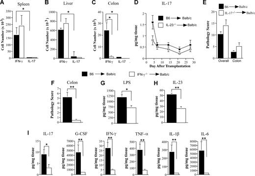 Figure 6. Interleukin 23-mediated colonic damage is dependent upon donor-derived IFN-γ, but not IL-17. (A-C) Lethally irradiated (900 cGy) Balb/c mice were transplanted with B6 BM and spleen cells (0.4-0.6 × 106; ■) or IL-23−/− BM and spleen cells adjusted to yield an equivalent number of mature T cells (□). Mice in each cohort were killed 28-30 days after transplantation. Lymphocytes were isolated from the spleen (A), liver (B), or colon (C) of mice (n = 4-5/group per experiment) and pooled suspensions of these cells were stimulated with PMA and ionomycin in the presence of GolgiStop and then intracellularly stained with IFN-γ and IL-17–specific antibodies. Data are presented as the mean absolute number of CD4+ IFN-γ+ or CD4+ IL-17+ cells (± SEM) and are cumulative results from 4 independent experiments. (D) Lethally irradiated Balb/c mice were transplanted with marrow grafts from either B6 or IL-23−/− donor mice as in panels A through C. Cohorts of mice (n = 8/group) were killed at the indicated time points (days 4, 7, 14, 21, and 28), and colonic tissue supernatants from individual mice were collected and analyzed for IL-17A by multiplex. Data are presented as mean amount of cytokine divided by the weight of cultured colon tissue (± SEM) and are cumulative results from 2 experiments. (E) Lethally irradiated Balb/c mice were transplanted with B6 BM (10 × 106) and spleen cells (0.4-0.6 × 106; ■, n = 9) or IL-17−/− BM (10 × 106) and spleen cells adjusted to yield the same T-cell dose (□, n = 9). Mice were killed 35 days posttransplantation and examined for overall (lung, liver, and colon) and colon-specific pathology using the semiquantitative scoring system detailed in “Histologic analysis.” Data are cumulative results from 2 independent experiments. (F-I) Lethally irradiated Balb/c mice were transplanted with B6 BM (10 × 106) and spleen cells (adjusted to yield a T-cell dose of 0.225 × 106 per mouse; ■, n = 6) or IFN-γ−/− BM (10 × 106) and spleen cells adjusted to yield the same T-cell dose (□, n = 5). Mice were killed 30 to 33 days posttransplantation, and the colon was examined for pathologic damage (F). Data are presented as the mean plus or minus SEM and are the cumulative results from 2 experiments. Colon tissue from the same mice was also cultured overnight in medium as described in “Methods” and assayed for levels of LPS (G), IL-23p19 (H), and proinflammatory cytokines (I). Data are presented as the mean amount of cytokine or LPS divided by the weight of cultured colon tissue (± SEM). *P ≤ .05; **P < .01.