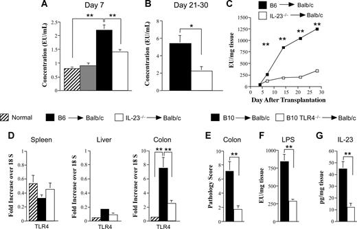 Figure 7. Donor APC secretion of IL-23 in the colon is dependent upon an intact LPS/TLR4 signaling pathway. (A) Lethally irradiated Balb/c mice were transplanted with B6 BM (10 × 106) alone (n = 11, ▫), IL-23−/− BM alone (10 × 106; n = 10, ), B6 BM plus spleen cells (0.4-0.6 × 106; n = 18, ■), or BM and spleen cells from IL-23−/− animals adjusted to yield the same dose of mature T cells (n = 18, □). Mice were bled 7 days after transplantation, and serum was assayed for endotoxin. Data are presented as the mean plus or minus SEM and are cumulative results from 3 experiments. (B) Lethally irradiated Balb/c mice were transplanted with B6 BM plus spleen cells (n = 18, ■) or IL-23−/− BM and spleen cells (n = 18, □). Serum was obtained from mice 21 to 30 days after BMT and assayed for endotoxin. Data are cumulative results from 3 experiments and are presented as the mean plus or minus SEM. (C) Lethally irradiated Balb/c mice were transplanted with B6 BM plus spleen cells (■) or IL-23−/− BM and spleen cells adjusted to yield the same T-cell dose (□). Groups of mice (n = 7-9/time point) were killed at the indicated times (days 4, 7, 14, 21, and 28), and colon tissue from each animal was cultured overnight in media. Supernatant was then analyzed for the amount of endotoxin. Data are derived from 2 experiments and are presented as the mean amount of endotoxin divided by the weight of cultured colon tissue (± SEM). (D) Lethally irradiated Balb/c mice were transplanted with B6 BM (10 × 106) and spleen cells (n = 9-14, ■) or IL-23−/− BM (10 × 106) and spleen cells adjusted to yield the same dose of T cells (n = 9-14, □). Mice were killed 28 days posttransplantation. RNA was extracted from spleen, colon, and liver tissues obtained from these animals as well as from normal nontransplanted Balb/c mice (n = 4-6, ▫). Gene expression of TLR4 was analyzed as described in “Real-time quantitative polymerase chain reaction.” Data are normalized for 18S ribosomal RNA and presented as fold increase over 18S RNA plus or minus SEM. Data are cumulative results from 3 independent experiments for mice transplanted with B6 or IL-23−/− marrow grafts. (E-G) Lethally irradiated Balb/c mice were transplanted with B10 BM (10 × 106) and spleen cells adjusted to yield 0.4-0.5 × 106 T cells (n = 9, ■) or TLR4−/− BM (10 × 106) and an equivalent number of splenic T cells (n = 10, □). Mice were killed 32 days after transplantation and examined for pathologic damage in the colon (E). Colon explant tissues from these same mice were cultured overnight in medium and assayed for LPS (F) and IL-23p19 (G) levels. Data are cumulative results from 2 experiments. *P ≤ .05; **P < .01.