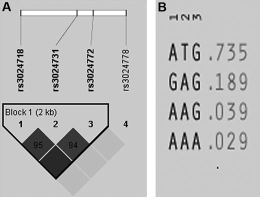 Figure 2. LD structure and haplotypes in PZ genes. (A) Depicted is the LD structure between the haplotype tagging SNPs: rs3024718, rs3024731, and rs3024772 are in tight LD. (B) Shown are the 4 haplotypes defined by 3 tagging SNPs capturing 97% of the genetic variation for this single LD block within the entire PZ gene.