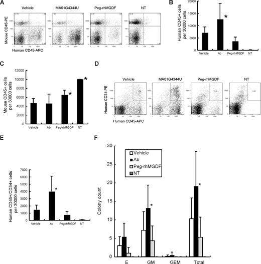 Figure 2. Bone marrow analysis. (A) Representative results of flow cytometry analyzing human CD45+ cells. (B) Counts of human CD45+ cells per 30 000 bone marrow cells. Ab indicates MA01G4344U; NT, not transplanted. (C) Counts of mouse CD45+ cells per 30 000 bone marrow cells (mean + SD). Asterisks show statistically significant differences in comparison with the vehicle control group (P < .05). (D) Representative results of flow cytometry analyzing human CD45+/CD34+ cells. (E) Counts of human CD45+/CD34+ cells per 30 000 bone marrow cells (mean + SD). Asterisks show statistically significant differences in comparison with the vehicle control group (P < .05). (F) Colony assay results (mean + SD). E indicates erythrocyte; GM, granulocyte/macrophage; and GEM, granulocyte/erythrocyte/macrophage. The “Total” represents E + GM + GEM. Asterisks show statistically significant differences in comparison with the vehicle control group (P < .05).