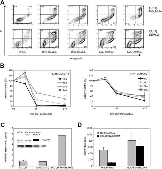 Figure 2. Analysis of phenotypic consequences after shRNA-mediated HOXA9 suppression in t(9;11) MOLM-14 AML and t(4;11) SEMK2 ALL cells. (A) Analysis of cell viability as measured by annexin V/PI positivity at day 7 after transduction of t(9,11) MOLM-14 cells and t(4;11) SEMK2 cells with 1 of 4 HOXA9 targeted shRNAs or GFP control shRNA. The percentage of viable (annexin V/PI negative) cells is shown in the HOXA9shRNA and GFP control shRNA-transduced group. (B) Time course analysis of cell viability as measured by annexin V/PI positivity after HOXA9 suppression in an independent experiment. Cells were transduced with either 1 of 4 HOXA9 targeted shRNAs or GFP-control shRNA. The data are graphed as percentage of viable cells that were transduced with HOXA9shRNA/percentage of viable cells that were transduced with GFP-control shRNA at a given time point. These results were confirmed 3 times. (C) Quantitative real-time PCR and Western blot analysis of ectopic HOXA9 overexpression in t(9;11) MOLM-14 cells compared with untransduced cells and cells transduced with the empty vector construct. (D) MOLM-14 cells ectopically overexpressing HOXA9 were transduced with the 2A4-HOXA9shRNA construct specifically targeting the 3′-untranslated region of endogenous HOXA9 or the GFP-control shRNA construct. Ectopic overexpression of HOXA9 almost completely rescued the phenotype (annexin V/PI staining).