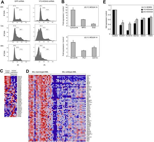 Figure 3. Effects of HOXA9 suppression in human t(9;11) MOLM-14 and t(4;11) SEMK2 cells. (A) Fluorescence-activated cell sorter analysis of cell-cycle status after transduction of MOLM-14 cells with 1F3-HOXA9shRNA after PI staining. A progressive increase of cells in G1 phase and a decrease of cells in G2 and S phases were noted compared with control GFP-shRNA–transduced cells with onset 24 to 36 hours before induction of apoptosis. (B) Analysis of mRNA expression of myeloid differentiation markers M-CSF1R, PU.1, and ITGAM (CD11b) and the granule molecules lysozyme (LYZ), myeloperoxidase (MPO), and elastaseA2 (ELA2) associated with terminal myeloid differentiation by quantitative real-time PCR 72 hours after HOXA9shRNA transduction. Compared with control GFP-shRNA transduced cells, a significant induction of mRNA expression was observed. (C) Gene expression analysis 44 hours after HOXA9 suppression in t(9;11) MOLM-14 cells with 2 different HOXA9shRNAs (1F3-HOXA9shRNA; 2A5-HOXA9shRNA) in triplicates compared with GFP-shRNA–transduced controls. Analysis of concomitant expression changes in other Homeobox A-D cluster genes demonstrated co–down-regulation of 5′-HOXA cluster gens in the HOXA9 suppression signature. (D) GSEA of the top 500 genes down-regulated after HOXA9 suppression in a gene expression dataset of 56 human AML patients.60 The HOXA9 suppression gene set is significantly enriched in a signature previously identified as more highly expressed in MLL-AML compared with other genetically defined AML subtypes (ES = 0.48; P < .001). (E) Confirmation of co–down-regulation of 5′-HOXA cluster genes as well as the HOXA9 cofactors MEIS1 and PBX3 and the transcription factor MEF2C in t(4;11) SEMK2 cells (quantitative real-time PCR analysis).