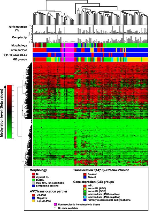 Figure 1. Hierarchic cluster analysis of DNA methylation data. BL indicates Burkitt lymphoma; NHL, non-Hodgkin lymphoma; ABC, activated B-cell like; GCB, germinal center B-cell like; mBL, molecular Burkitt lymphoma; and DLBCL, diffuse large B-cell lymphoma. The bar plot (complexity) below the upper dendrogram points to the number of chromosomal imbalances in each case detected by array CGH as a measure of chromosomal complexity. This analysis shows that DNA methylation patterns are not strictly associated with morphologic, genetic, or transcriptional features.