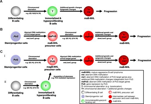 Figure 4. Simplified models of lymphomagenesis of maB-NHL integrating the data generated in the present study. (A) Commonly accepted genetic model of lymphomagenesis in which a chromosomal aberration is the primary immortalizing hit followed by additional genetic and epigenetic events. (B) Epigenetic origin of maB-NHL in which aberrant methylation of PcG target genes in stem or progenitor cells is the initial hit in lymphomagenesis. Subsequently, these cells acquire chromosomal aberrations followed by additional genetic and epigenetic changes to give rise to specific subtypes of maB-NHL. (C) Genetic origin of maB-NHL in which an initial chromosomal aberration takes place either in a stem or precursor cells (C1) or in differentiating cells (C2). A prerequisite for aberrant DNA methylation of PcG targets is the binding of PcG proteins to stem cell–related target genes, which can be acquired through the cell type in which the translocation occurs (C1) or through reprogramming a somatic differentiating cell into a cell with stem cell–like features (C2). After this, cells would acquire aberrant DNA methylation of PcG target genes followed by additional genetic and epigenetic hits that finally result into a maB-NHL.