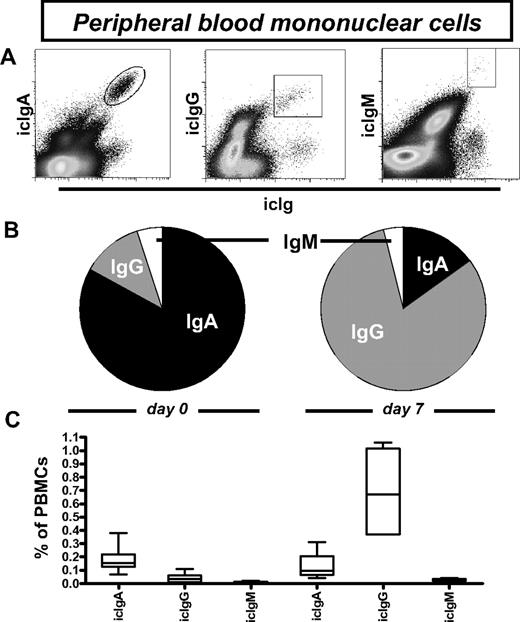 Figure 2. Chronic generation of IgA+ plasmablasts in steady state is not affected by a systemic tetanus/diphtheria vaccination. (A) Cytometric detection of blood plasmablasts/plasma cells expressing intracellular IgA, IgG, or IgM. (B) Proportions of icIgA+, icIgG+, and icIgM+ cells among total blood icIghigh cells before and 7 days after tetanus/diphtheria vaccination. Blood donors had frequencies of antibody-secreting cells among PBMCs of 0.08% to 0.45% before and 0.42% to 1.31% after vaccination. (C) Frequencies of cells expressing icIgA, icIgG, or icIgM among PBMCs before and 7 days after vaccination.