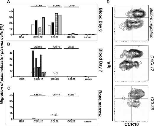 Figure 4. Steady-state CCR10+ plasmablasts can migrate toward CCL28 and CXCL12. Spontaneous in vitro migration toward ligands of CXCR4, CCR9, CCR10, and controls is shown for blood CD19+/CD27high plasmablasts/plasma cells in steady state (A), 7 days after tetanus/diphtheria vaccination (B), and for CD38high bone marrow plasma cells (C). Migration in controls assays was less than 1%. Each bar represents the frequency of migrated plasmablasts of one donor. nd indicates not done. (D) Steady-state CD19+/CD27high plasmablasts migratory toward CCL28 or CXCL12 were stained for surface IgA and CCR10.