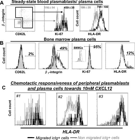 Figure 5. Coexistence of HLA-DRhigh plasmablasts and HLA-DRlow plasma cells in steady state. (A) Intracellular Ighigh plasmablasts/plasma cells circulating in steady state were stained for CD62L and β7 integrin and counterstained for HLA-DR or Ki-67. Plasma cells lacking Ki-67 expression and stained weakly for HLA-DR were also β7 integrin−/CD62L− (gray gate represents histograms and MFI ± SD values), whereas high expression of HLA-DR and Ki-67 on plasmablasts was associated with expression of CD62L or β7 integrin (black gate represents histograms and numbers). (B) CD38high bone marrow plasma cells were counterstained for CD62L, β7 integrin, Ki-67, HLA-DR (open histograms), and isotype controls (shaded histograms), revealing absence of CD62L and Ki-67 expression, a small subset of HLA-DRhigh cells, and expression of β7 integrin. The insert shows bone marrow mononuclear cells (Ki-67, open; control, shaded) positively stained for Ki-67. (C) PBMCs isolated 7 days after tetanus/diphtheria vaccination were migrated toward 10 nM of CXCL12. Migrated icIghigh plasmablasts (black) and nonmigrated icIghigh plasmablasts/plasma cells (gray) and their HLA-DR expression were detected cytometrically. Three different donors are shown.