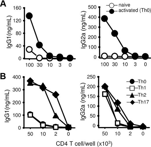 Figure 1. In vitro TcR triggering enhances B-cell help function. (A) Naive CD62L+CD4+ T cells purified from the spleen of Balb/C mice were stimulated for 48 hours with plastic-coated anti-CD3 and anti-CD28 mAbs and rested 24 hours in fresh medium. Serial dilutions of irradiated recovered Th cells were incubated with purified B cells (5 × 105 cells/well) and anti-CD3 mAbs (500 ng/mL). Fresh control resting CD62L+CD4+ T cells were purified at the time of the T-B coculture test. (B) CD62L+CD4+ T cells were stimulated in neutral culture medium (Th0) or under polarizing conditions, rested, and cocultured with B cells, as in panel A. Culture supernatants were tested on day 7 for IgG1 and IgG2a contents. Results are expressed as mean plus or minus SD of triplicates (SD < 5% did not appear in the figure). Similar results were obtained in 2 additional experiments.