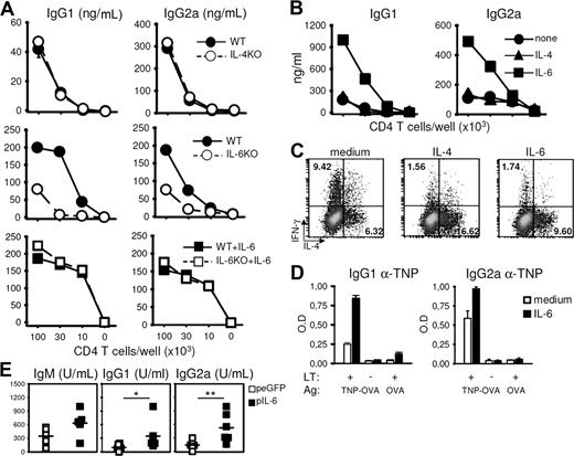 Figure 2. IL-6 promotes humoral responses. (A) CD62L+CD4+ T cells purified from WT or KO mice were stimulated for 48 hours with plastic-coated anti-CD3 and anti-CD28 mAbs. Where indicated, IL-6 was added in the primary culture medium. Cells were washed, rested 1 day in fresh media, and restimulated as in Figure 1. (B) CD62L+CD4+ T cells were stimulated in the presence or absence of recombinant IL-4 or IL-6 (20 ng/mL). Recovered cells were rested 1 day in fresh medium and tested for B-cell help capacity. (C) Flow cytometric analyses of IL-4 and IFN-γ production for each T-cell population obtained in B. (D) CD62L+CD4+ DO11.10 T cells were stimulated in the presence or absence of IL-6, rested 1 day in fresh medium, and restimulated in the presence of CD19+ B cells purified from TNP-KLH–immunized mice and OVA-TNP (500 ng/mL). Culture supernatants were tested for TNP-specific IgG1 and IgG2a antibody contents on day 7. (E) Balb/C inoculated with NP-KLH (50 μg in CFA, intraperitoneally) were further inoculated 1 day later with IL-6–encoding or control (eGFP) plasmid DNA by hydrodynamic tail vein injection. Sera were collected on day 14 and tested for NP-specific isotypes. *P < .05; **P < .01. Results in panels A, B, and D are mean plus or minus SD of triplicate T-B cocultures. Similar results were obtained in 2 (D), 3 (A,C,E), and up to 30 (B) independent experiments.