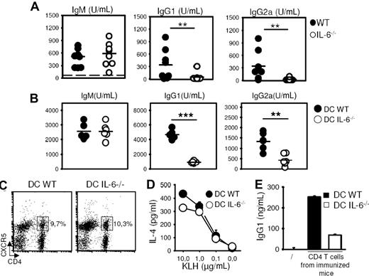 Figure 6. IL-6–derived DC promotes humoral responses in vivo. (A) WT and IL-6–KO mice were inoculated with NP-KLH (50 μg in CFA, intraperitoneally). Sera were collected on day 14 and tested for NP-specific isotypes. (B) KLH-pulsed DCs purified from WT or IL-6−/− mice (3 × 105 cells) were inoculated intravenously into C57BL6 mice. Sera were collected on day 14 and tested for KLH-specific isotypes. (C,D) KLH-pulsed DCs obtained in panel B were inoculated in f.p., and draining lymph nodes were recovered on day 7. Expression of CXCR5+ TFH cells was analyzed by FACS (C), and lymph nodes cells were tested for IL-4 secretion in the presence of graded doses of KLH (D). (E) CD4+ T cells purified from lymph nodes of immunized mice were tested for B-cell help delivery in the presence of CD19+ B from WT naive C57BL6 mice and KLH (10 μg/mL). Culture supernatants were tested on day 7 for IgG1 contents (mean ± SD of triplicate cultures). Numbers in dot-plot quadrants in panel C represent the percentages. Dashed lines in panel A represent normal serum antibody concentrations. **P < .01; ***P < .001. Similar results were obtained in 2 (C,E) or 3 (A,B,D) independent experiments.