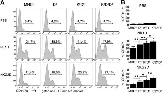 Figure 2. Higher frequencies of responding NK cells in the presence of multiple MHC class I alleles. (A) Frequencies of CD107a+ NK cells after stimulation with plate-bound antibodies against NK1.1 and NKG2D or in the absence of antibody (PBS) for 5 hours. One representative experiment of 11. (B) Summaries of all 11 experiments performed, expressed as mean percentage of CD107a+CD3−DX5+ NK cells with SEM. *P < .05 and **P < .01.