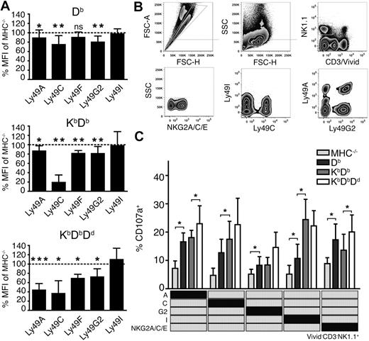Figure 3. More extensive Ly49 receptor down-regulation and improved functional responses of NK cells expressing single inhibitory receptors in the presence of multiple MHC class I alleles. (A) Surface expression of inhibitory Ly49 receptors (GeoMFI) relative to MHC−/− NK cells (dotted line). Summary of 6 to 15 experiments with n = 11 Db, n = 9 KbDb and n = 8 KbDbDd mice. *P < .05; **P < .01; ***P < .001. (B) Identification of viable NK cells expressing only single inhibitory receptors. Gates are indicated with gray lines. FSC-A indicates forward light scatter area and SSC, side light scatter. (C) Degranulation of naive NK cells from MHC−/−, Db, KbDb, and KbDbDd mice expressing only 1 inhibitory receptor (indicated in the matrix). Presented as mean percentage of CD107a+ NK cells with SEM, and PBS control background subtracted, within the specified single Ly49 subset after anti-NKG2D stimulation.