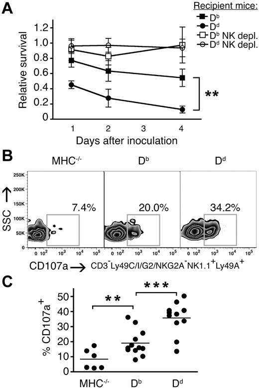 Figure 4. Higher frequencies of responsive single Ly49A–expressing NK cells in the presence of a strong versus weak MHC class I ligand. (A) Survival of MHC−/− splenocytes in Db and Dd mice relative to MHC− mice. Kinetics over 1, 2, and 4 days. Dd versus Db: **P < .01 at all time points. depl. indicates depleted. (B) Percentage of CD107a+ NK cells expressing the inhibitory receptor Ly49A, but not Ly49C, I, G2, or NKG2A/C/E, from naive Db and Dd single mice after NKG2D stimulation. One representative experiment of 8. SSC indicates side light scatter. (C) Summary of all experiments performed. **P < .01; ***P < .001.