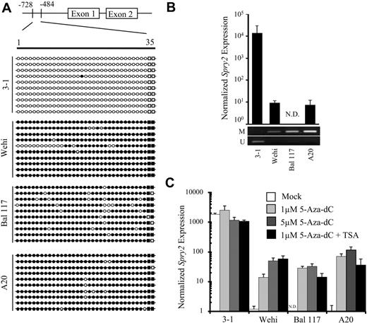 Figure 2. Spry2 is DNA hypermethylated, and its expression is repressed in mouse B-cell lymphoma lines but can be reactivated by treatment with a demethylating agent. (A) GBS of a CpG-rich region located between −728 and −484 in the Spry2 promoter in mouse B-cell lines 3-1, Wehi, Bal 117, and A20. Each row represents the sequence of an individual clone. ○ represents unmethylated CpG sites; ●, methylated sites; and squares, 2 CpG loci within the Not1 site. (B) Spry2 expression was assayed by quantitative PCR in 3-1, Wehi, Bal 117, and A20 mouse B-cell lines. N.D. indicates not detected. Spry2 expression is normalized to 36b4 (Rplp0) expression. DNA methylation status for each tumor cell line was also assessed by MSP. The top and bottom bands correspond to PCR products amplified by primers specific for methylated (M) or unmethylated (U) CpG sites after bisulfite conversion. (C) Spry2 expression assayed in triplicate without and with 5-aza-dC and/or 100 nm TSA treatment.