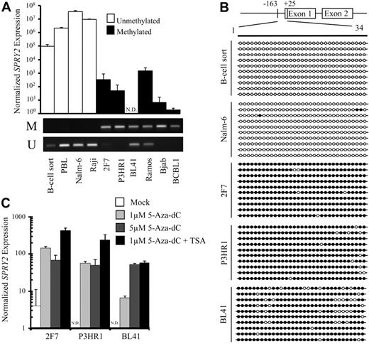 Figure 4. SPRY2 is DNA hypermethylated, and its expression is repressed but can be reactivated by treatment with a demethylating agent in human B-cell lymphoma lines. (A) SPRY2 expression normalized to GAPDH expression was assessed by quantitative PCR in human tonsil B cells (B-cell sort), EBV-immortalized PBL, and a panel of human B-cell lymphoma lines. N.D. indicates not detected. DNA methylation status for sorted B cells, PBLs, and each tumor cell line was assessed by MSP. The top and bottom bands correspond to PCR products amplified by primers specific for methylated (M) or unmethylated (U) CpG sites after bisulfite conversion. (B) GBS of a CpG-rich region located between −163 and +25 in the SPRY2 promoter in human tonsil B cells (B-cell sort) and human B-cell lines Nalm-6, 2F7, P3HR1, and BL41. Each row represents the sequence of an individual clone. ○ represents unmethylated CpG sites; ●, methylated CpG sites. (C) SPRY2 expression normalized to GAPDH expression was assayed in triplicate by quantitative PCR without and with 5-aza-dC and/or 100 nm TSA treatment.