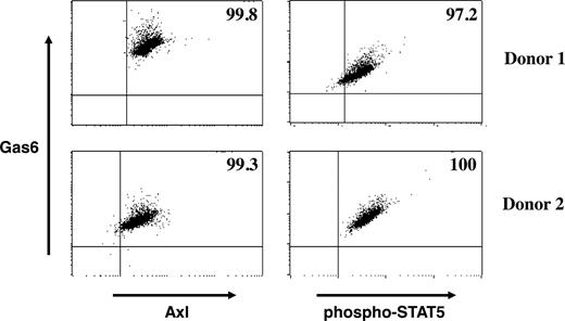 Figure 5. Evidence for an autocrine loop in the Axl/Gas6 pathway. CD34+ cells isolated from blood of 2 different donors were cultured for 3 days in the presence of IL-15. Harvested cells were fixed, permeabilized, and stained with antibodies against Gas6, Axl, and phospho-STAT5. Gating was on CD34+ cells, and numbers in the upper right quadrant indicate percentage of double-positive cell populations (Gas6+Axl+ or Gas6+ phospho-STAT5+).