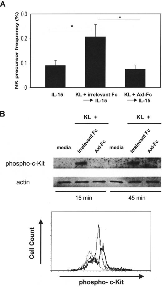 Figure 6. Blocking the Axl/Gas6 pathway reduces NK precursor frequency and inhibits c-Kit phosphorylation. (A) Isolated CD34+ HPCs from human peripheral blood were plated using serial dilution (from 6000 to 94 cells/well × 12 wells/condition). CD34+ HPCs were next cultured in 1 of 3 conditions and then directly stained with anti-CD3 and anti-CD56 antibodies, and analyzed by flow cytometry to quantify CD3−CD56+ NK cells: (1) IL-15 for 2 weeks (IL-15); (2) KL plus irrelevant Fc for 7 days followed by culture in IL-15 alone for 2 weeks (KL + irrelevant Fc → IL-15); or (3) KL plus Axl-Fc for 7 days, followed by culture in IL-15 alone for 2 weeks (KL + Axl-Fc → IL-15). CD56 expression was analyzed by flow cytometry, and the NK precursor frequency was determined as described in “Limiting dilution assay.” Results are from 3 donors. Error bar represents SEM. *P < .05. (B) CD34+ cells from human peripheral blood were plated, rested overnight, and treated with media only, KL plus irrelevant Fc, or KL + Axl-Fc for the indicated times. Cells were then harvested, and the level of phospho–c-Kit was measured by Western blot (top). In a separate experiment, intracellular staining for phospho–c-Kit that was gated on CD34+ cells was performed (bottom). Dotted line represents media only; thick line, KL + irrelevant Fc; thin line, KL + Axl-Fc. Results are representative of 4 separate experiments with similar results.