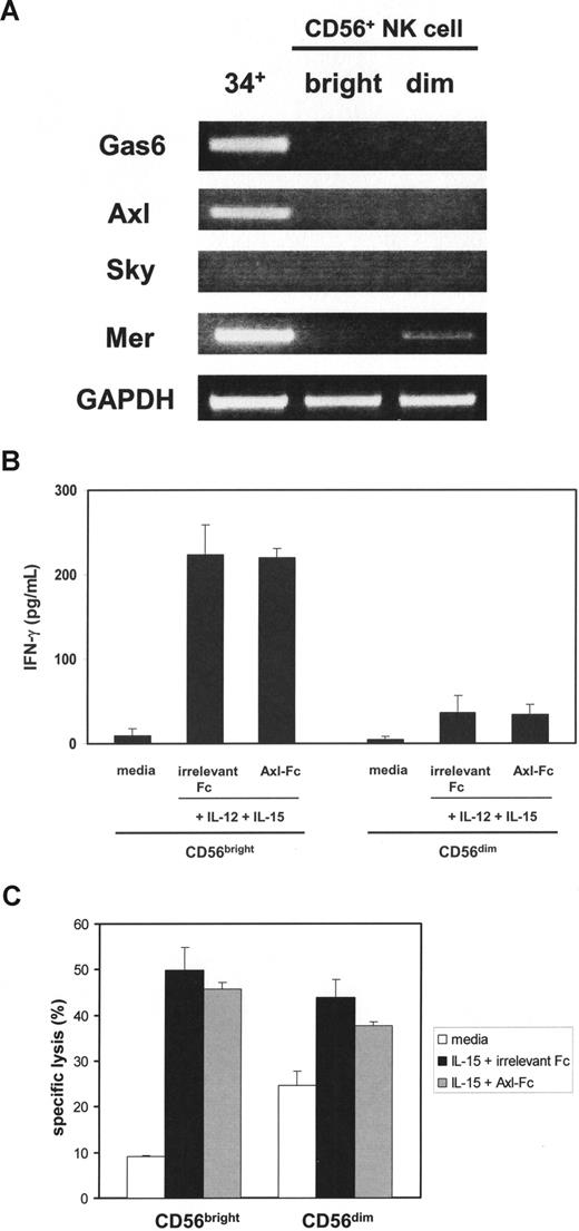 Figure 7. Assessment of the Axl/Gas6 pathway in purified mature NK cells. (A) After total RNA was isolated from sorted fresh human CD34+ HPCs (34+), CD56bright (bright), or CD56dim (dim) NK cells, RT-PCR was performed to detect Gas6, Axl, Sky, and Mer mRNA. GAPDH was used as a loading control. The figure represents 1 of 2 experiments performed with separate donors. (B) Purified CD56bright and CD56dim NK cells were sorted from human peripheral blood, plated with the same cell numbers, and stimulated with IL-12 and IL-15 in the presence of irrelevant Fc or Axl-Fc for 24 hours. Supernatants were collected and IFN-γ production was measured by ELISA. Results illustrate the mean plus or minus SD from triplicate wells and represent 1 of 3 similar experiments showing no significant difference in the presence or absence of Axl-Fc for CD56bright or CD56dim NK cells. (C) CD56bright and CD56dim NK cells were prepared as described in panel B and cultured with IL-15 in the presence of irrelevant Fc or Axl-Fc for 24 hours and then mixed with 51Cr-labeled K-562 target cells at an effector:target ratio of 3:1, again without significant difference. These results are representative of 3 similar experiments.