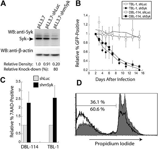 Figure 2. Knockdown Syk expression confers a competitive disadvantage through the induction of apoptosis. (A) Semiquantitative Western blot analysis of Syk knockdown in murine tumor B cells (DBL-114) with anti-Syk (top panel) and anti–β-actin (bottom panel) of the stripped blot. Cells were infected with empty vector (pLL3.7), control shRNA (shLuc), or Syk-specific shRNA (shmSyk). Percent knockdown determined from 2 separate blots. (B) Plot of in vitro competition assay in TBL-1 or DBL-114 cells infected with either control shLuc or shmSyk. Competition between infected (GFP+) and uninfected cells (GFP−) cells is shown. All samples were normalized to percent of GFP+ cells on day 2 after infection and shown relative to empty vector pLL3.7 thereafter (n = 4). (C) Plot of 7-AAD–positive cells normalized to levels of 7-AAD expression in cells expressing shLuc relative to 7-AAD expression in shmSyk (n = 3). (D) PI staining of DBL-114 tumor B cells expressing shLuc (gray filled, top number) or shmSyk (black trace, bottom number) 2 days after sorting for greater than 95% GFP-expressing cells.