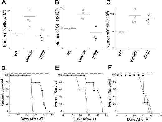 Figure 5. Inhibition of Syk activity by R788 reduces tumor burden and increases survival in mouse models of NHL. Cohorts of mice were adoptively transferred with primary tumors or tumor cell lines. At the first external sign of tumors, mice were treated with either 80 mg/kg per day of R788 or control vehicle for 7 days. One day after treatment, 3 or more mice were harvested from R788 or control groups to determine tumor burden relative to wild-type mice. Representative plots of tumor burden as assessed by total number of live cells in the lymph nodes of mice are shown for (A) primary Eμ-MYC/BCRHEL tumors, (B) Eμ-MYC/BCRHEL/sHEL (TBL-1) tumors, or (C) primary Eμ-MYC tumors (n = 2). The remaining mice were left in the vivarium to determine whether R788 treatment affected survival. Representative plots of tumor survival are shown for (D) primary Eμ-MYC/BCRHEL tumors, (E) Eμ-MYC/BCRHEL/sHEL (TBL-1) tumors, or (F) primary Eμ-MYC tumors. No AT and no treatment (○), AT tumor and treatment with control vehicle (□), or AT tumor and treatment with 80 mg/kg per day R788 (▲) are shown (n = 3). P values for vehicle versus R788 are less than .002 for Eμ-MYC/BCRHEL and Eμ-MYC/BCRHEL/sHEL tumors.