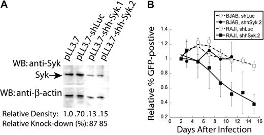 Figure 6. Genetic disruption of Syk expression in human NHL cell lines. Syk expression was disrupted in human BL cell lines. (A) Semiquantitative Western blot analysis of Syk knockdown in BJAB cells with anti-Syk (top panel); blots were then stripped and reprobed with anti–β-actin (bottom panel). Cells were infected with empty vector (pLL3.7), control shRNA (shLuc), or Syk-specific shRNA (shSyk). Percent knockdown was determined by densitometry of the Syk bands relative to the β-actin bands. (B) Plot of in vitro tumor competition assay in RAJI and BJAB cells infected with either control shLuc or shhSyk, as described in Figure 4 (n = 4).