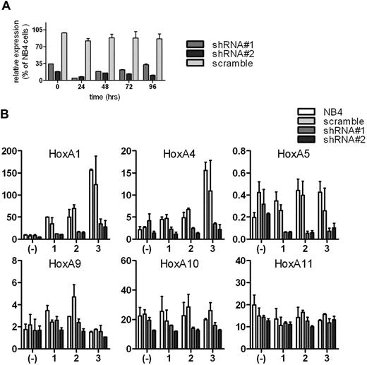 Figure 7. shRNA-mediated silencing of HOTAIRM1 RNA. (A) Stable knockdown of HOTAIRM1 transcripts in 2 NB4 cell clones transduced with pLKO.1 lentiviral vector expressing shRNA targeting HOTAIRM1 transcripts and incubated with ATRA (1 μM). The effectiveness of silencing is compared with pLKO.1 expressing negative control “scramble” shRNA. Quantitative RT-PCR results are shown as the percentage of HOTAIRM1 expression in each transduced cell type relative to the level in nontransduced NB4 cells. (B) Expression of myelopoiesis-relevant HOXA genes by HOTAIRM1 knockdown cells during 3 days of ATRA (1 μM)-induced granulocytic differentiation of NB4 cells. Relative expression levels of the indicated targets were measured by quantitative real-time RT-PCR in 2 stable knockdown NB4 clones. The bars and error lines represented means and SDs of at least triplicate experiments for each group, normalized to the geometric mean of a panel of endogenous reference genes.