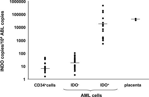 Figure 4. IDO expression by AML cells. IDO gene expression by AML blasts has been analyzed using a quantitative RT-PCR method in 54 newly diagnosed patients. IDO mRNA level was compared with that of Abelson (ABL) control gene. According to the IDO transcript level, AML patients could be subdivided into 2 groups. In particular, a group of patients (n = 40) expressed IDO at the same level as normal BM-derived CD34+ cells (IDO−). The remaining samples (n = 14) showed a significantly increased IDO mRNA expression that was at a level comparable with that of the positive control placenta cells (IDO+).