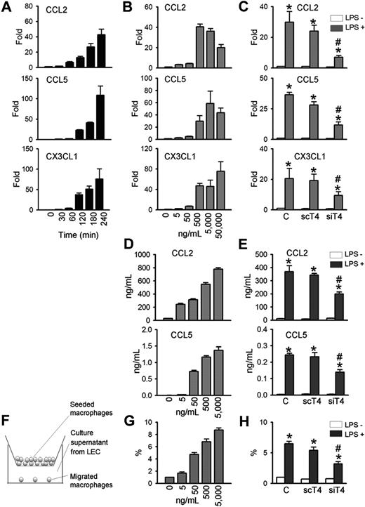 Figure 4. TLR4 mediates LPS-induced chemokine up-regulation and monocytes chemotaxis in LECs. LECs were stimulated with LPS (500 ng/mL) for indicated times (A), 4 hours (C), or 48 hours (E,H), or stimulated with indicated amounts of LPS for 4 hours (B) or 48 hours (D,G). Prior to LPS stimulation, LECs were transfected with control (C), scTLR4 (scT4), or siTLR4 (siT4) (C,E,H). (A-C) The CCL2, CCL5, and CX3CL1 mRNA levels were analyzed by quantitative RT-PCR. The mRNA level of each gene were normalized to GAPDH and presented as a fold increase compared with the control. (D,E) CCL2 and CCL5 protein levels in the LEC culture supernatant were measured by ELISA. (F) Schematic diagram of the monocyte chemotactic migration assay. (G,H) The number of THP-1 monocytes that migrated from the hanging transwell to the culture supernatants of the LPS-stimulated LECs in the bottom were counted and presented as a percentage of the number of initially seeded cells. Bars represent mean plus or minus SD (n = 4). *P < .05 versus LPS−; #P < .05 versus scT4+ LPS+.