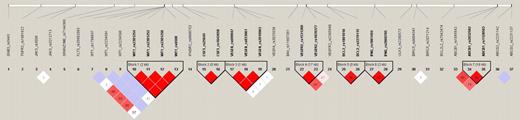 Figure 1. Linkage disequilibrium plot of 76 single-nucleotide polymorphisms.