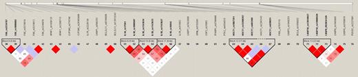 Figure 1. Linkage disequilibrium plot of 76 single-nucleotide polymorphisms.