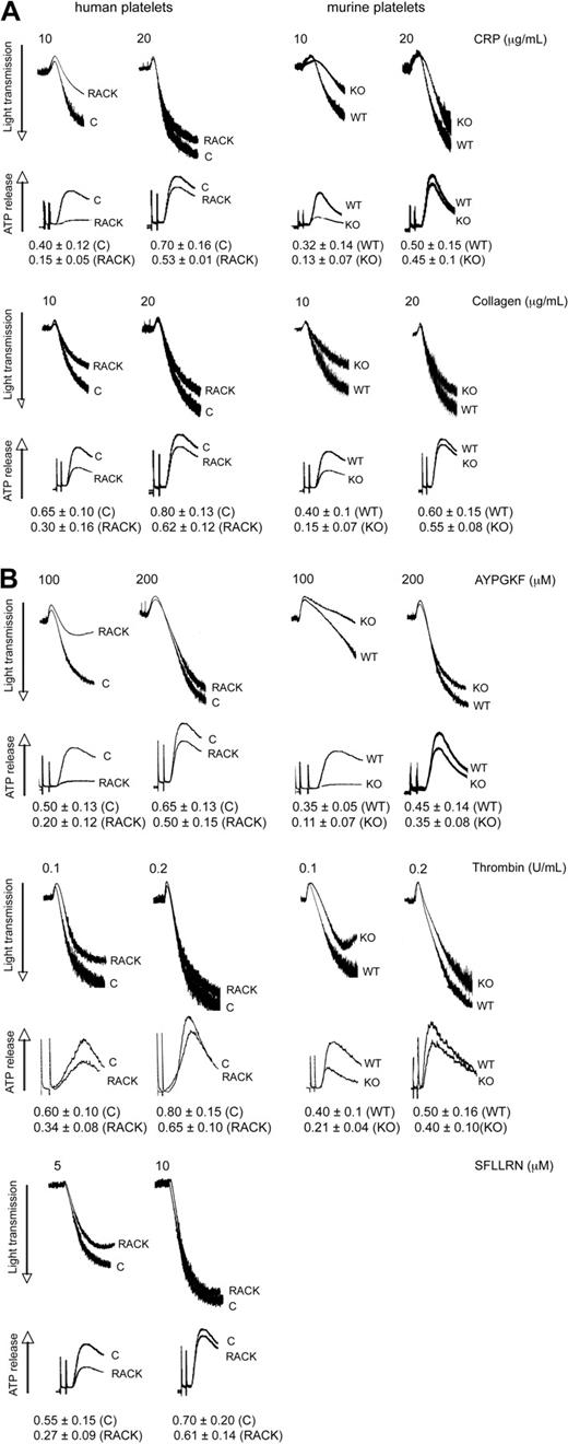Figure 2. Role of PKC-θ in GPVI- and PAR-mediated platelet aggregation and dense granule secretion. Aspirin-treated washed human platelets in the presence or absence of PKC-θ antagonistic RACK peptide and isolated mouse platelets (as indicated) from PKC-θ−/− mice and WT littermates were stimulated with GPVI agonists (A) CRP (10 and 20 μg/mL) and collagen (10 and 20 μg/mL); and (B) PAR4 agonist AYPGKF (100 and 200 μM), PAR1 and PAR4 agonist thrombin (0.1 and 0.2 U/mL), and PAR1 agonist SFLLRN (5 and 10 μM) for 3.5 minutes at 37°C in stirring condition and their aggregation and simultaneous dense granule secretion were measured and compared. Dense-granule secretion is expressed as ATP released (nmol/108 platelets). The tracings are representative of results from at least 3 different donors.