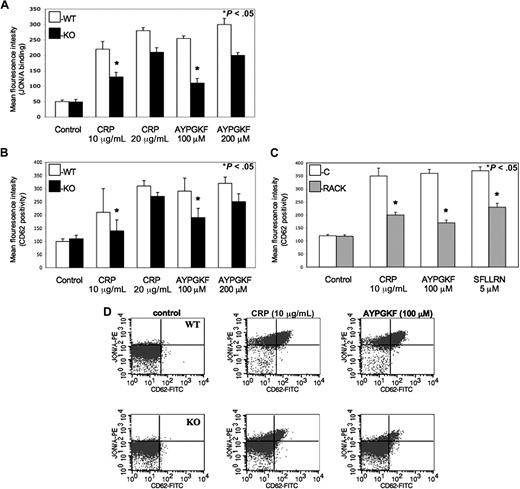 Figure 3. Role of PKC-θ in αIIbβ3 activation and α-granule secretion downstream of GPVI and PARs. (A) Isolated platelets from PKC-θ−/− mice (■) and WT littermates (□) were stimulated with GPVI agonist CRP (10 and 20 μg/mL) and PAR4 agonsit AYPGKF (100 and 200 μM) to test the JON/A binding to activated αIIbβ3 receptors. (B) WT and PKC-θ−/− murine platelets and (C) washed human platelets with or without PKC-θ RACK peptide were stimulated with CRP (10 and 20 μg/mL) as well as AYPGKF (100 and 200 μM) and PAR1 agonist SFLLRN (5 μM; only in human platelets) for 15 minutes at 37°C in nonstirring condition in the presence of FITC-labeled anti–P-selectin (CD62)-antibody. Reactions were terminated by fixing the platelets with PFA and then analyzed by flow cytometry. Each bar is the average of 3 experiments plus or minus SD from 3 different donors. (D) Dot plots of dual-color labeling for JON/A binding and CD62 expression on murine platelets are representative data of panels A and B.