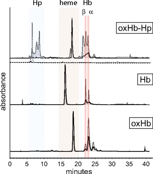 Figure 2. Representative reverse-phase HPLC chromatograms of oxidized (ox) and nonoxidized Hb-Hp products. Gray lines indicate spectra at 280 nm (protein) and black lines indicate spectra at 405 nm (heme). The chromatogram of nonoxidized Hb demonstrates a typical elution pattern of β- and α-globin chains at 22.0 and 23.0 minutes, respectively. H2O2 causes decreased absorbance of chains at 280 and coelution with heme at approximately 24.0 minutes. Hp(1-1) elutes at approximately 6.2 minutes (shown as dashed gray and dashed black lines). When complexed with Hb and exposed to H2O2, several newly formed Hp-related oxidation products elute between 7 and 8 minutes and at 22.5 minutes. In oxidized Hb-Hp (oxHb-Hp), the Hb β and α chains retain their elution times similar to nonoxidized Hb at 280 nm, indicating intact undamaged protein. Red indicates Hb's β- and α-globin chains, tan indicates heme, and blue indicates Hp.