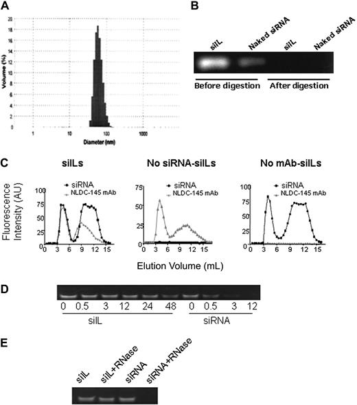 Figure 1. Characterization of siILs. (A) Measurement of siIL size. siRNA-bearing immunoliposomes (siILs) were prepared as described in “Preparation of siILs.” siIL mean diameter was approximately 86 nm after conjugation of NLDC-145 mAb to liposome surface. (B) Removal of unencapsulated siRNA. Polyacrylamide gel electrophoresis was used to resolve siRNA-containing liposomes before and after RNase III digestion of unencapsulated siRNA. (C) Fraction elution of siILs. After the encapsulation of Cy3-labeled siRNA and conjugation of liposomes to Alexa647-labeled NLDC-145 mAb (anti-DEC205), siILs were separated from digested siRNA fragments of exteriorized siRNA and unconjugated mAb by Sepharose CL-4B gel filtration chromatography. Eluted fractions were analyzed by spectrofluorometry (excitation/emission 550/570 nm for siRNA and 650/668 nm for mAb) for simultaneous detection of encapsulated siRNA and conjugated mAb. (Left panel) siRNA-bearing siILs containing both siRNA and NLDC-145 mAb, which comigrate through the filtration column (first set of overlapping peaks). (Middle panel) Empty siILs containing no siRNA but conjugated to NLDC-145 mAb. (Right panel) Control stealth liposomes containing siRNA but not conjugated to NLDC-145 mAb. (D) Stability assay of siILs in blood plasma. Cy3-labeled CD40-siILs or naked siRNA was incubated with fresh mouse plasma at 37°C for various time periods. After incubation for 0, 0.5, 3, 12, 24, and 48 hours, siRNA from siILs was extracted with Triton X-100 and detected by polyacrylamide gel electrophoresis. (E) RNase resistance assay of siILs. siILs or naked siRNA (30 pmol) was incubated with 40 ng RNase at 37°C for 6 hours. siRNA was extracted from siILs with Triton X-100 and detected by polyacrylamide gel electrophoresis.