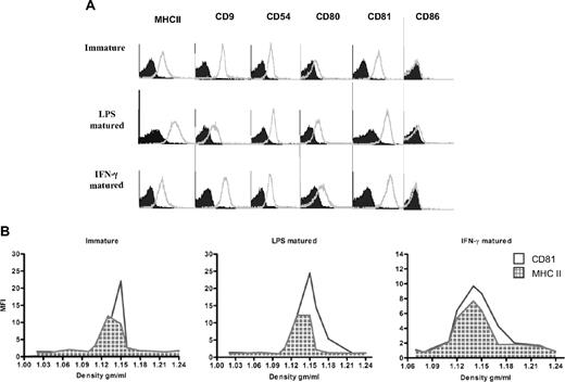 Figure 1. Exosomes from LPS and IFN-γ–matured BMDCs display higher expression of MHC II and CD80 molecules on their surface than exosomes from immature BMDCs. (A) Exosomes derived from immature, LPS, or IFN-γ–matured BMDCs were coated on aldehyde/sulfate latex beads, stained with a panel of PE- and FITC-conjugated specific (open histogram) and isotype-matched (solid histogram) antibodies, and then analyzed by flow cytometry. One representative experiment of 3 is displayed. (B) BMDC-derived exosomes have similar densities as previously reported for exosomes. Pelleted (100 000g) exosomes from immature, LPS, or IFN-γ–matured BMDCs were loaded on continuous sucrose density gradients and ultracentrifuged. Fractions were collected and directly analyzed by flow cytometry after coating on latex beads and staining with fluorochrome-conjugated antibodies against MHC II (grid histogram) and CD81 (open histogram).