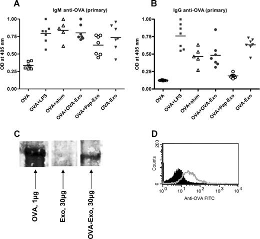 Figure 4. Indirectly loaded exosomes alone can induce potent OVA-specific primary antibody responses. BMDCs were stimulated with LPS on day 6, and exosomes were harvested on day 8. BALB/c mice were primed intravenously with 50 μg OVA per mouse alone or together with 10 μg LPS, Alum (1:1 ratio with OVA), 50 μg OVA-Exo, or Pep-Exo or only with 50 μg OVA-Exo. Sera were collected 7 days after priming, and the presence of OVA-specific (A) IgM and (B) IgG antibodies was detected by ELISA using serial dilution of the sera. Results are expressed as optical density at 1:100 serum dilutions. Individual data and mean are presented (n = 7 per group, for Alum group n = 5). (C) A total of 30 μg OVA-Exo and Exo or 1 μg native OVA protein was separated on 8% to 16% SDS-acrylamide gel, transferred to polyvinylidene difluoride membrane, and incubated with OVA-specific immune sera (1:500 dilutions), followed by incubation with horseradish peroxidase–conjugated secondary antibodies, and detected by chemiluminescence kit. (D) A total of 30 μg OVA-Exo was coated on anti-CD9–coated latex beads, treated with OVA immune sera (open histogram) or preimmune sera (solid histogram), followed by addition of PE-conjugated anti–mouse Ig, and then analyzed by flow cytometry.