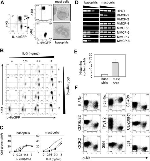 Figure 1. Characterization of bone marrow–derived basophils and mast cells. (A) Postsort analysis and nuclear morphology of purified basophils (IL-4/eGFP+c-Kit−) and mast cells (IL-4/eGFP+c-Kit+) after 11 days of culture of bone marrow cells in the presence of IL-3. (B) Titration of IL-3 and SCF to determine optimal culture conditions to generate basophils in vitro. Cultures were analyzed 11 days after setup. The experiment has been repeated with similar results. (C) Total numbers of basophils and mast cells on day 11 of culture in the presence of indicated concentrations of IL-3 and different concentrations of SCF (♦ indicates 0 ng/mL; ■, 0.03 ng/mL; ▴, 0.3 ng/mL; and ×, 3 ng/mL). The experiment has been repeated with similar results. (D) Semiquantitative RT-PCR of purified in vitro–generated basophils and mast cells to determine the expression level of different mast cell proteases. (E) Histamine content in sorted basophils (□) and mast cells (▩). The concentration was determined in 100 μL total cell lysate and normalized to 1000 cells. Bars show the mean plus or minus SD of triplicate wells. (F) Expression of different surface markers on mast cells (c-Kit+ cells) and basophils (c-Kit− cells). Dot plots are gated on autofluorescence−IL-4/eGFP+ cells. For panels A, B, and F, the numbers in the quadrants indicate the frequency of each population.