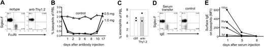 Figure 5. Basophil depletion by anti-Thy1.2 mAb administration and basophil sensitization by serum transfer. (A) Dot plot of blood samples from 4get/rag−/− mice before (left) or 2 days after (right) anti-Thy1.2 treatment. Plots are gated on total autofluorescence−IL-4/eGFP+ cells and display eosinophils (Siglec-F+FcϵRI−) and basophils (Siglec-F−FcϵRI+). (B) Kinetics of basophil depletion after administration of 0.5 mg or 1 mg anti-Thy1.2 mAb. Results show the mean of 2 mice per time point and condition. (C) Frequency of eosinophils in the peripheral blood of 2 individual basophil-depleted (anti-Thy1.2) or control mice on day 2 after mAb administration. Each dot represents 1 mouse. (D) Dot plots of blood samples from 4get/rag−/− mice before (control) or 1 day after (serum transfer) transfer of serum from N brasiliensis–infected wild-type mice. Plots are gated on autofluorescence−IL-4/eGFP+ cells and display eosinophils (Siglec-F+) and basophils (Siglec-F−). For panels A and D, the numbers in quadrants indicate the frequency of each population. (E) Kinetics of IgE clearance. Indicated amounts of serum from N brasiliensis–infected mice were transferred to 4get/rag−/− mice, and the mean fluorescence staining intensity (MFI) of IgE bound to the cell surface of basophils was determined on days 1, 5, and 8 after transfer.
