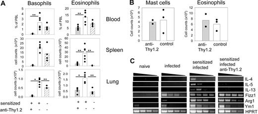 Figure 6. Basophil depletion during infection of sensitized 4get/rag−/− mice. (A) Percentages and total numbers of basophils (left) and eosinophils (right) in the blood, spleen, and lung of anti-Thy1.2 treated (▩) or control (□) 4get/rag−/− mice that had been sensitized with serum from N brasiliensis–infected wild-type mice and infected with N brasiliensis 10 days before analysis. As control, mice were treated with serum from naive wild-type mice (▨). Plots show combined results from 2 independent experiments with 5 to 6 mice total. *P < .001; **P < .05 by Mann-Whitney U test. (B) Number of mast cells and eosinophils in the peritoneum of sensitized and infected 4get/rag−/− mice that had been treated with anti-Thy1.2 or not. Each dot represents 1 mouse. (C) Semiquantitative RT-PCR analysis of total lung tissue for Th2-associated cytokines and markers for alternatively activated macrophages. The following samples were compared: naive (noninfected 4get/rag−/−) mice, infected (day 4 N brasiliensis–infected 4get/rag−/−) mice, sensitized and infected mice (4get/rag−/− mice that had been sensitized with serum from N brasiliensis–infected wild-type mice before infection), and sensitized, infected, and anti-Thy1.2 mice (sensitized and infected 4get/rag−/− mice that were depleted of basophils by anti-Thy1.2 treatment).