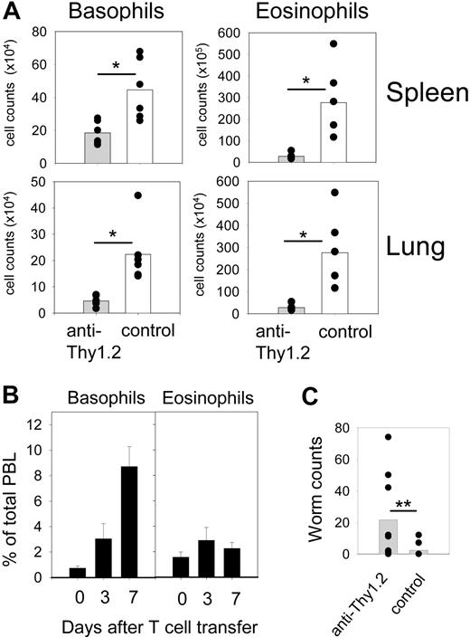 Figure 7. Reduced eosinophilia and impaired worm expulsion in basophil-depleted mice. (A) 4get/rag−/− mice were infected with N brasiliensis after they had been reconstituted with leukocytes from IL-4/IL-13−/− mice, sensitized with serum from N brasiliensis–infected wild-type mice, and either depleted of basophils (▩) or not (□). The number of basophils and eosinophils was determined in the lung and spleen on day 10 after infection. Plots show combined results from 2 independent experiments with 6 mice per group total. *P < .01 by Mann-Whitney U test. (B) IL-3–induced basophilia does not cause eosinophilia. The graphs show the frequency of basophils (left) and eosinophils (right) among total peripheral blood leukocytes (PBLs) of normal 4get mice at indicated days after transfer of polyclonal T cells that had been transfected with IL-3 cDNA-encoding retroviruses. (C) Number of adult worms in the small intestine of 4get/rag−/− mice that had been reconstituted with leukocytes from IL-4/IL-13−/− mice, sensitized with serum from N brasiliensis–infected wild-type mice, and either depleted of basophils (▩) or not (□). The graph shows pooled results from 3 independent experiments with 8 to 9 mice per group total. **P = .021 by Mann-Whitney U test. For panels A and C, each dot presents 1 mouse. The horizontal bars show the statistical comparison.