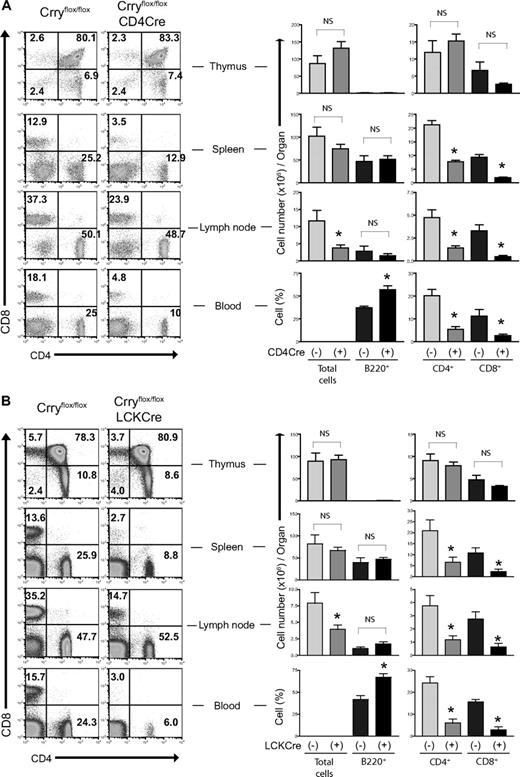 Figure 3. CD4-Cre+-Crryflox/flox and Lck-Cre+-Crryflox/flox mice developed peripheral T-cell lymphopenia. (A) Left: Representative flow cytometric analysis of thymocyte composition and CD4+, CD8+ T-cell populations in the spleens, lymph nodes, and blood of CD4-Cre−-Crryflox/flox and CD4-Cre+-Crryflox/flox littermates. Right: Numbers of total cells, B220+, CD4 SP (CD4+), and CD8 SP (CD8+) cells in the thymi, spleens, and lymph nodes of CD4-Cre−-Crryflox/flox and CD4-Cre+-Crryflox/flox littermates (n = 4 per group). Because blood collection varied in volume, the percentage, instead of total number, of B220+, CD4+, and CD8+ cells in the blood of the 2 groups of mice was shown. Values shown are mean plus or minus SEM. NS indicates not significant (P > .05). *P < .05, Student t test. (B) Data from Lck-Cre−-Crryflox/flox and Lck-Cre+-Crryflox/flox littermates (n = 4 per group). Analysis and data presentation are the same as in panel A.