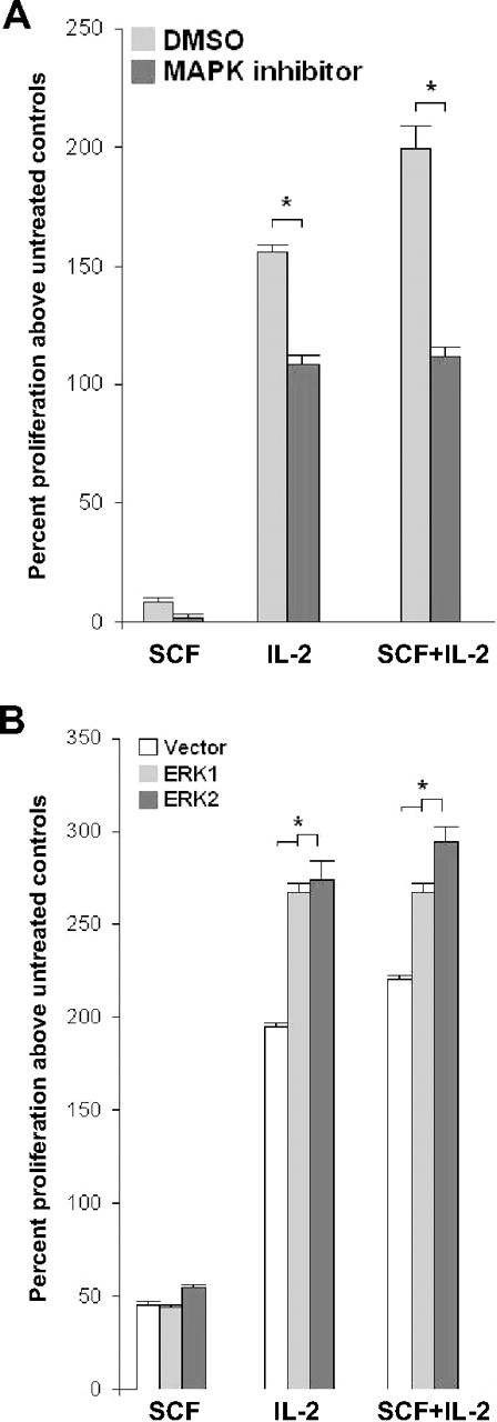 Figure 4. IL-2–mediated NK-cell proliferation as well as SCF + IL-2 proliferative synergy are MAPK dependent. For panels A and B, the y-axis represents the mean percentage proliferation (± SEM) above that measured for untreated controls as measured by the MTS assay. (A) Primary, human NK cells pretreated with either UO126 (10 μM) or DMSO (vehicle) were cultured in SCF, IL-2, or SCF + IL-2. Combined data from 3 independent experiments show mean proliferation (± SEM) in response to IL-2 and in response to SCF + IL-2 was decreased in the presence of the MAPK inhibitor compared with vehicle control (indicated by * in panel A, P < .05 for each comparison shown). (B) Overexpression of ERK1 and ERK2 in the NK-cell line DERL-7 yields complementary results. Overexpression of ERK1 () and ERK2 () led to statistically significant increases in proliferation (± SEM) in response to IL-2 and SCF + IL-2 (comparisons indicated by * respectively in panel B, P < .05 for all indicated comparisons) compared with cells treated with vector alone (□).